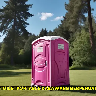 sewa toilet portable karawang berpengalaman